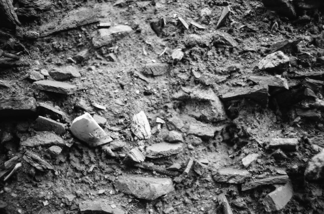 Forensic specialists employ advanced techniques under challenging conditions as they process human remains from Gaza's exhumed graves.